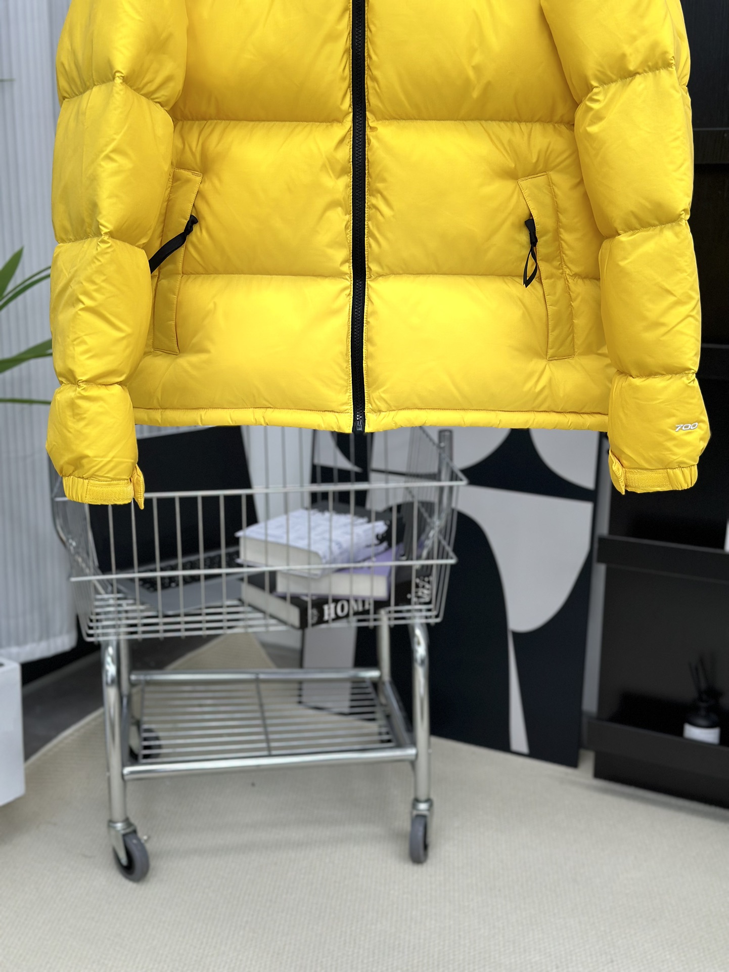 The North Face Down Jackets